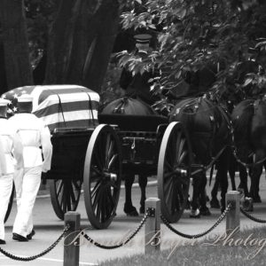 Final Journey