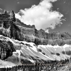Alpine Fortress