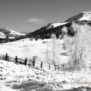 Frost on the Range